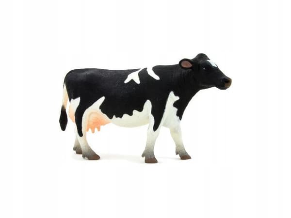 Mojo, the Holstein cow