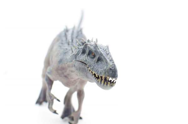 INDOMINUS REX T-REX MEGA WHITE DINOSAUR FIGURINE 38