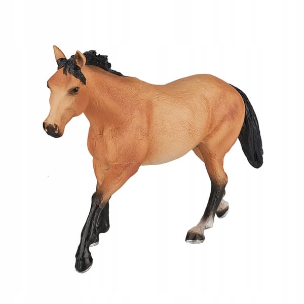 Mojo, the Quarter Horse swimmer