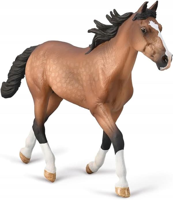 A STANDARDBRED STALLION WITH A CHESTNUT COAT