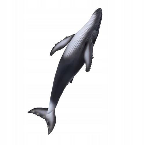 Mojo Oceanic Fin Whale, Humpback Whale - 387119