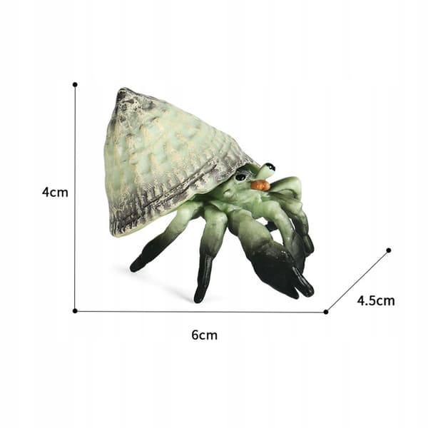 Marine animal simulation, hermit crab model, marine life, green