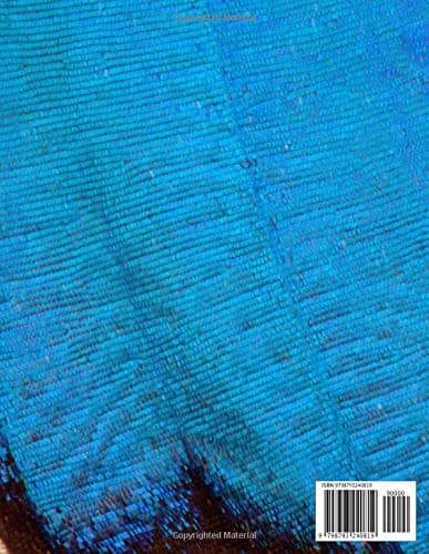 Notebook: 8.5 x 11 in (21.59 x 27.94 cm)