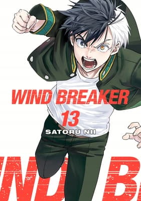 WIND BREAKER 13 by Satoru Nii