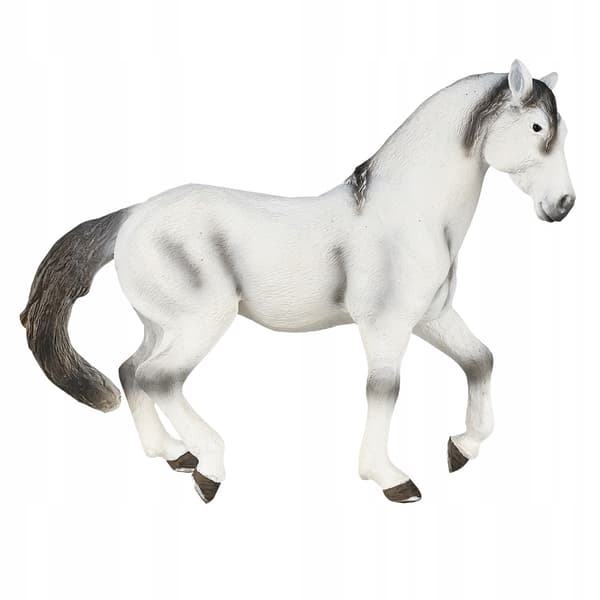 Mojo, a grey Andalusian horse