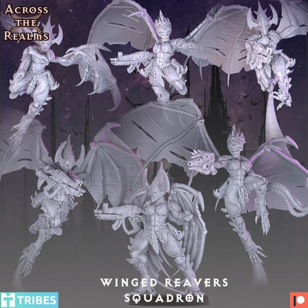 Winged Reavers Squadron x6 Across the Realms