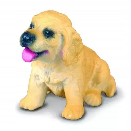 A Golden Retriever puppy.