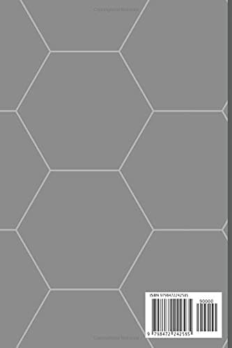 Notebook: 100-page 6"x9" Grey Hummingbird Composition Notebook, Diary, J