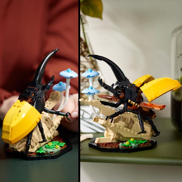 LEGO Ideas 21342 Insect Collection: Beetle, Butterfly, Mantis