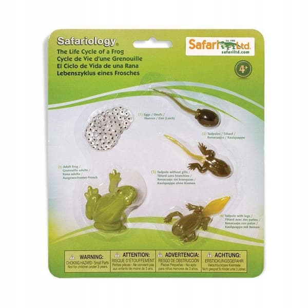 SAFARI LTD FROG LIFE CYCLE FIGURINE SET 69104