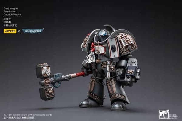 Grey Knights Terminator Caddon Vibova Warhammer 40k 1/18 Scale Figure, 13 cm
