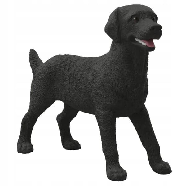 A black female Labrador