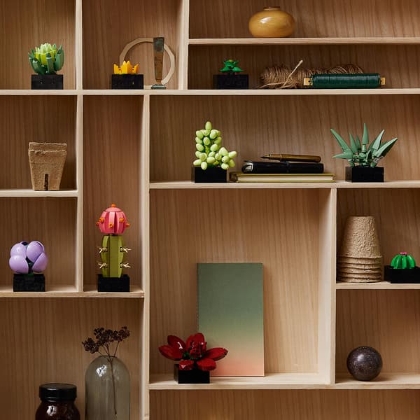 LEGO Botanicals 10309 Succulents