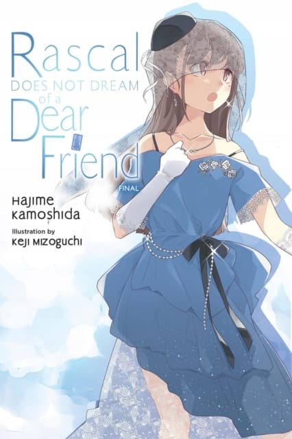 Rascal Does Not Dream of a Dear Friend (light novel) ANDREW CUNNINGHAM