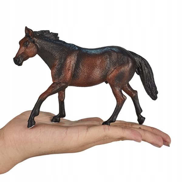 Mojo, a brown Quarter Horse