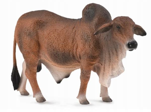 RED BRAHMAN BULL - CollectA - 88599 - L