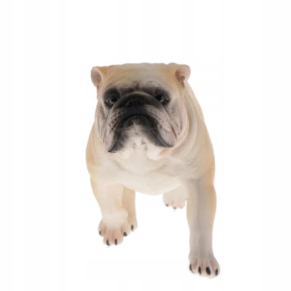 Simulation Pets Animal model Figurine Educational toy Decoration 1
