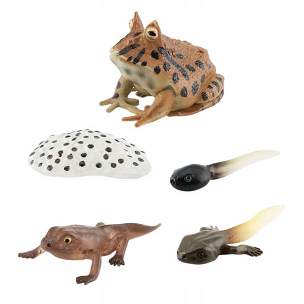 Life cycle figurines – Realistic animal style C