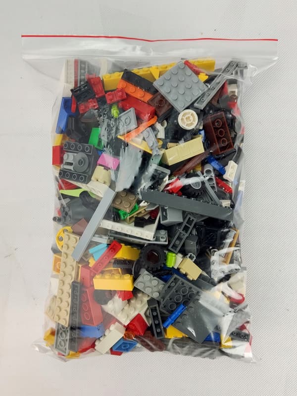 LEGO Mixed Bricks (Random Selection) 1 kg + minifigure + divider