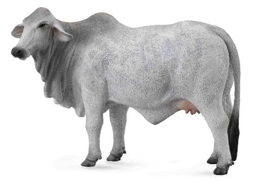 Collecta Brahman Cow figurine, size L