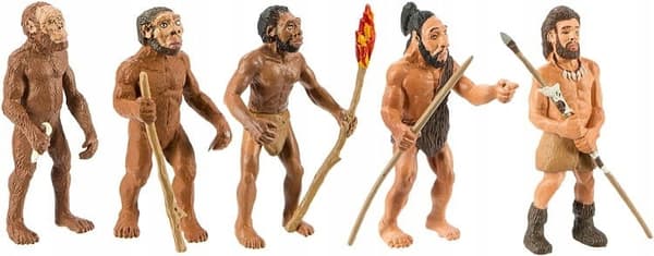 Safari Ltd Human Evolution 663816