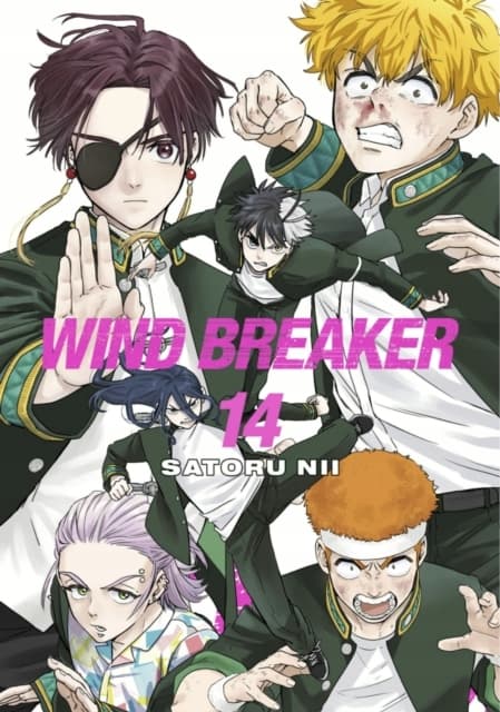 WIND BREAKER 14 by Satoru Nii