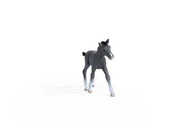 A THRAKEN FOAL