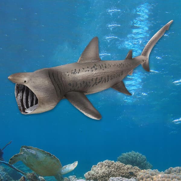 Realistic sea creatures – an educational toy for early learning about sea creatures