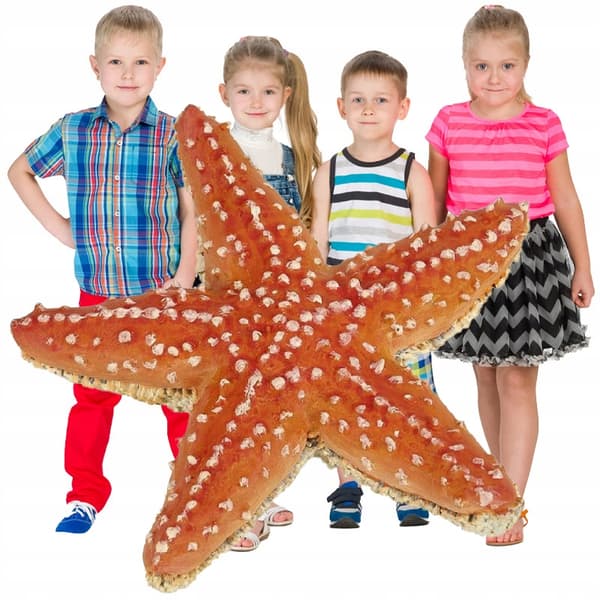 Decorative ORANGE STARFISH figurine – COLOURFUL SEA CREATURES