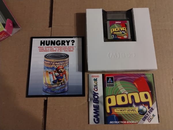 Pong: The Next Level (GameBoy Color)