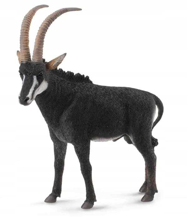 Male Greater Sable Antelope, size L