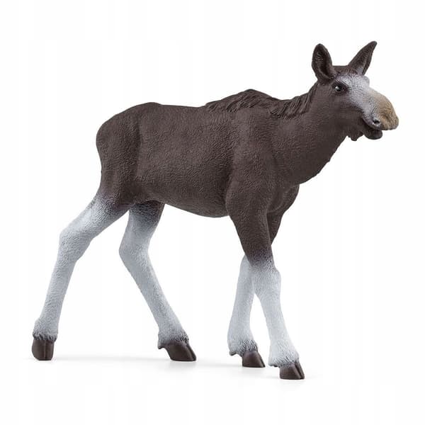 Moose with a calf 42603