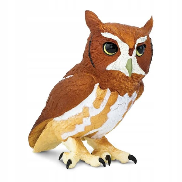 Eastern Screech Owl