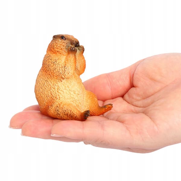 4x Marmots – Model Figures, Decorative Marmots, Desk Decorations
