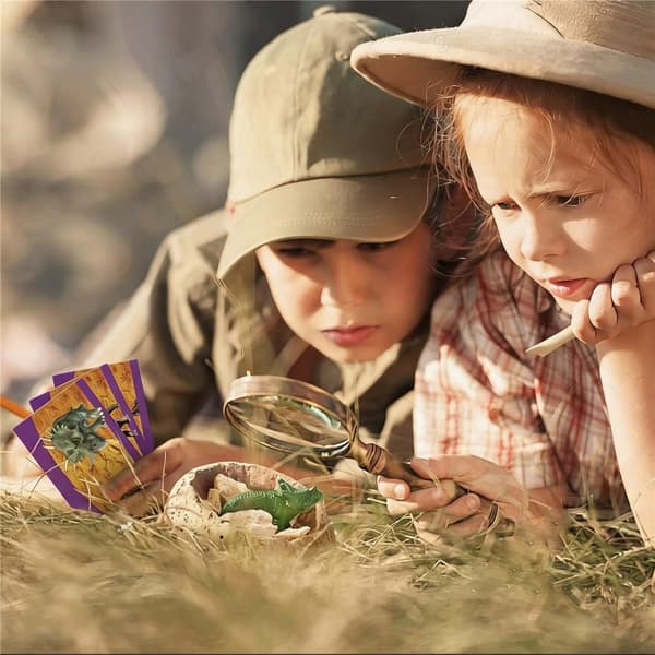 DINOSAUR DISCOVERY SET WITH 12 EGGS AND STEM TOOLS
