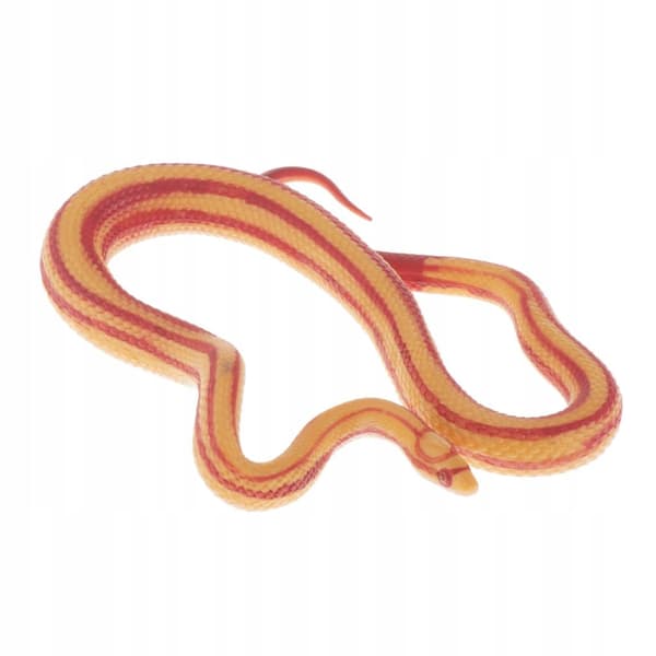 Animals Action figure models Educational science Educational snake