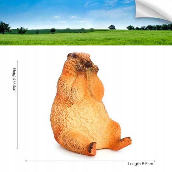 4x Marmots – Model Figures, Decorative Marmots, Desk Decorations