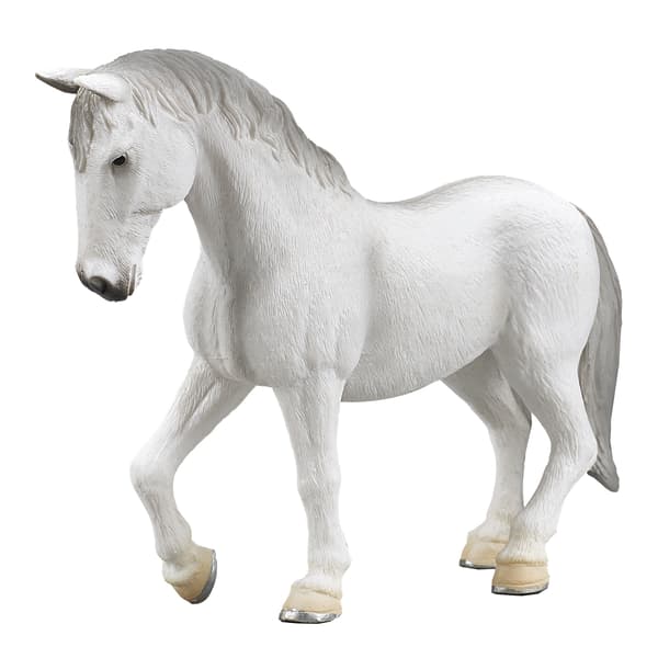 Mojo, a Lipizzaner mare