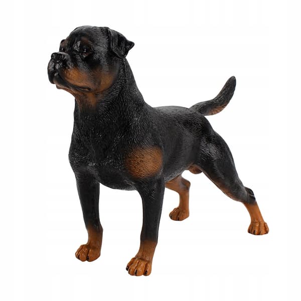 DECORATIVE BLACK PLASTIC DOG MODEL FOR THE HOME AND EDUCATION