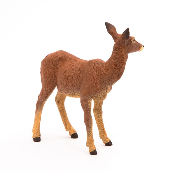 ŁANIA – DOE – PAPO – 53014