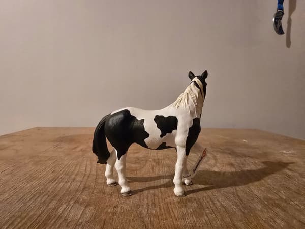 Schleich 13795 Pinto Mare Figurine – a unique, discontinued model from 2010.