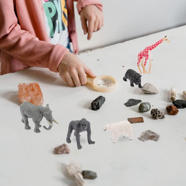 12 DECORATIVE MINIATURE FOREST AND TROPICAL ANIMALS
