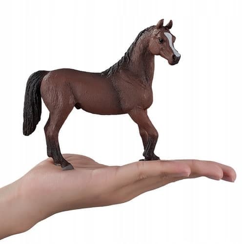 Mojo, a chestnut Arabian stallion