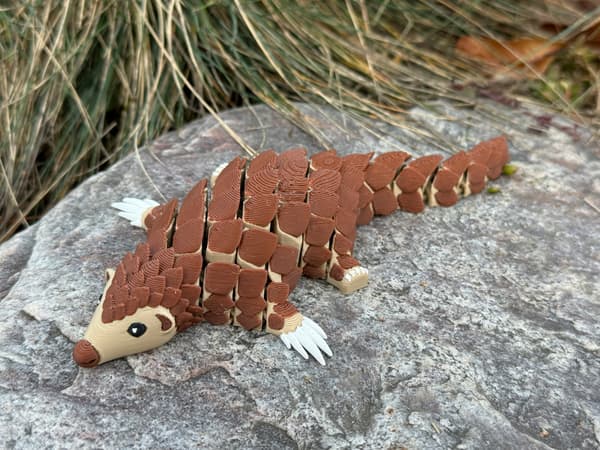 3D Pangolin – A Modular Figurine in a New, Multicoloured Design, toy