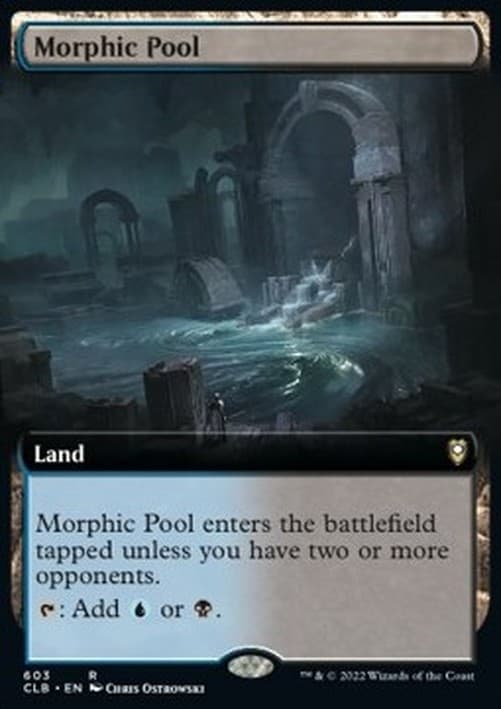 Magic: The Gathering Morphic Pool