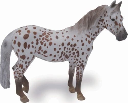 A BRITISH SPOTTED PONY MARE, LEOPARD CHESTNUT [
