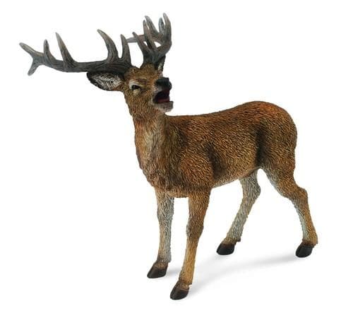 Red deer L