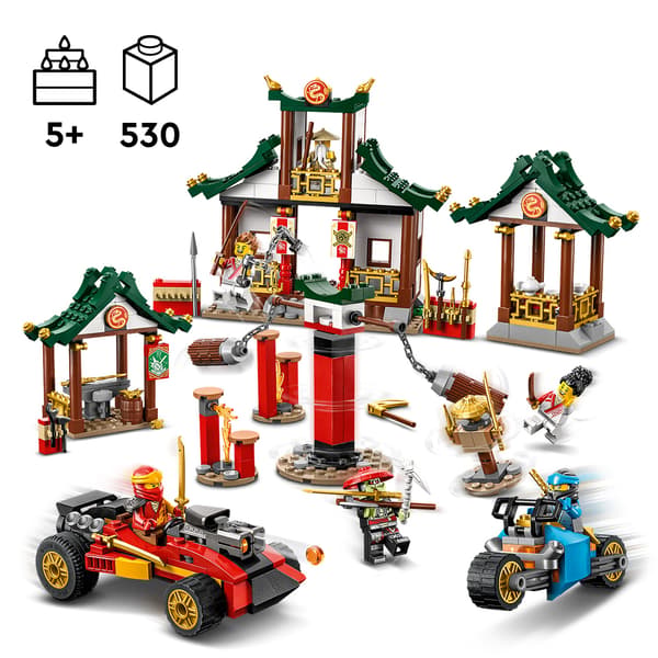 LEGO Ninjago 71787 Creative Ninja Brick Box