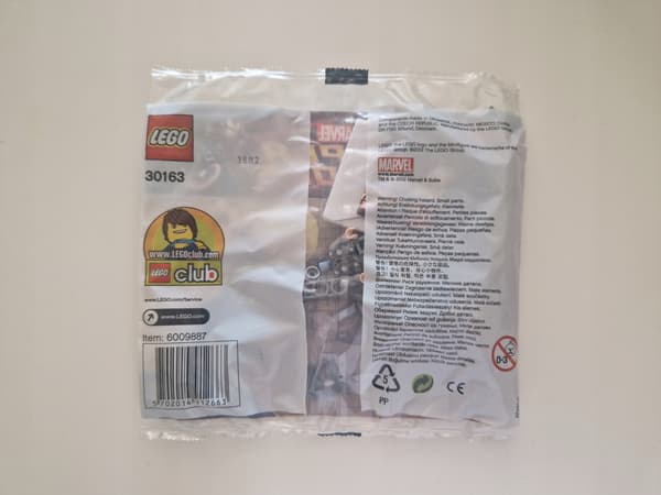 LEGO Super Heroes 30163