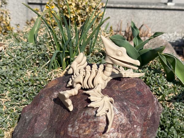 3D Pteranodon Skeleton + Nest with Eggs – a movable, articulated model